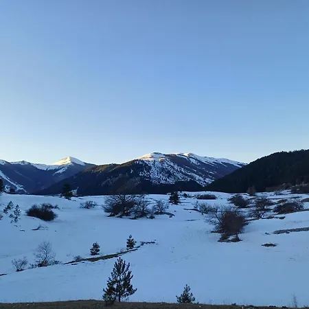 Il Nido Di Kora